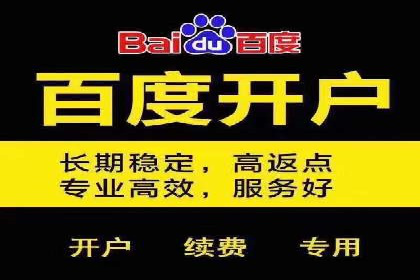 百度SEM广告投放效果评估的案例分析